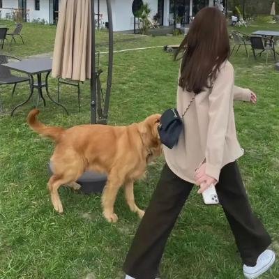 不要告诉爸爸